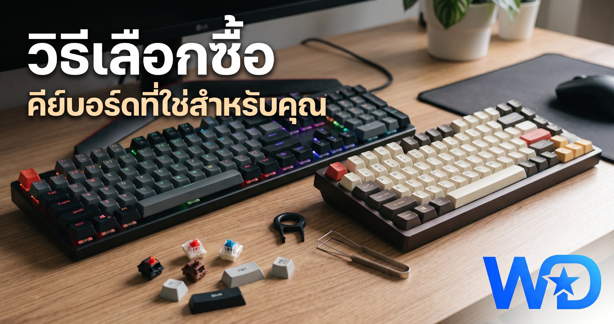 วิธีเลือกคีย์บอร์ด คู่มือสเปค สวิตช์ และขนาดที่เหมาะกับคุณ