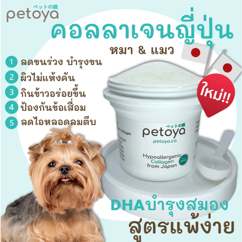 ภาพรวม นวัตกรรมคอลลาเจนเปปไทด์เกรดพรีเมียมจากญี่ปุ่น Petoya ฟื้นฟูข้อต่อและเส้นขนสุนัขและแมวอย่างตรงจุด