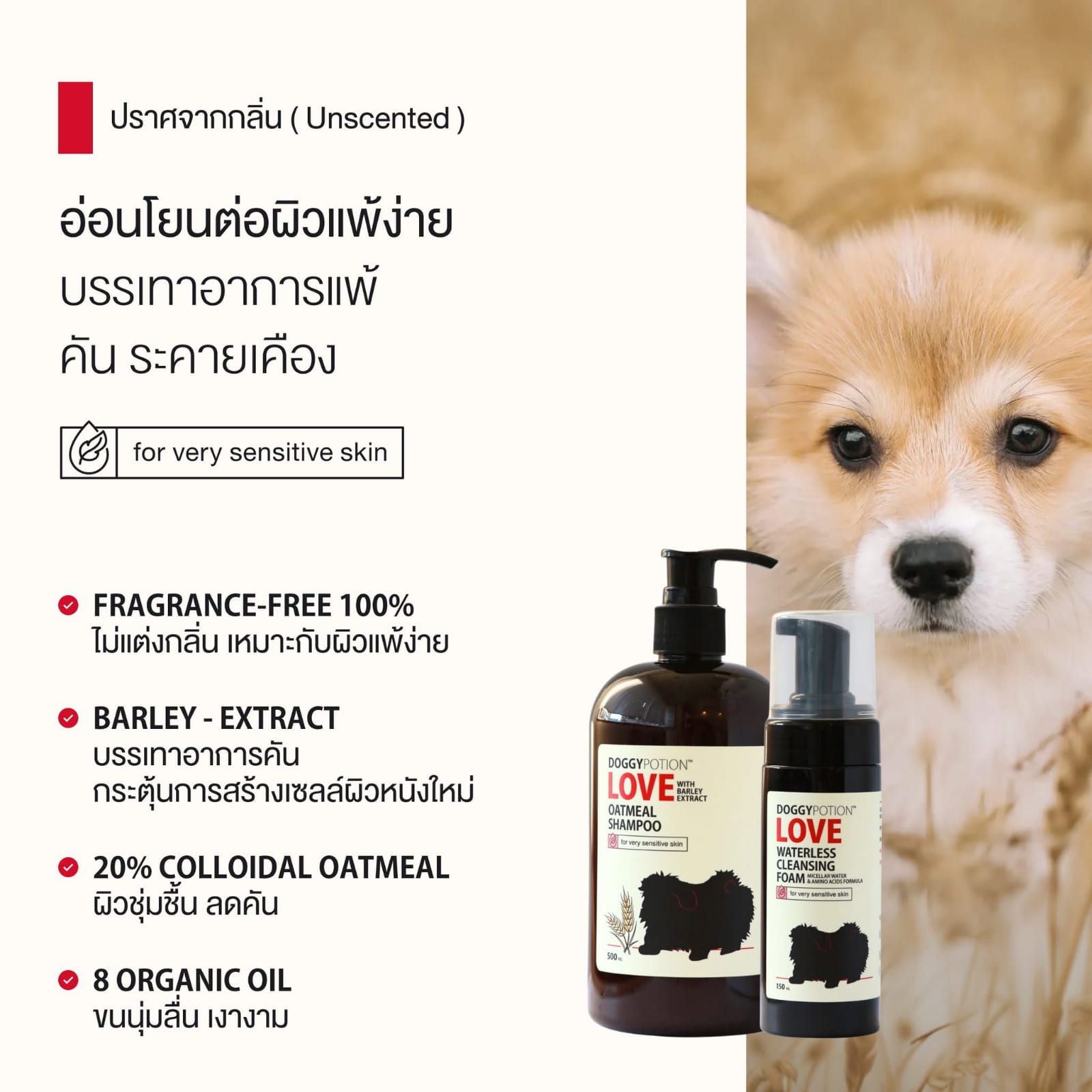 พลังการฟื้นฟูผิวแห้งคันด้วย 20% Colloidal Oatmeal ผสานน้ำมันออร์แกนิก 8 ชนิด