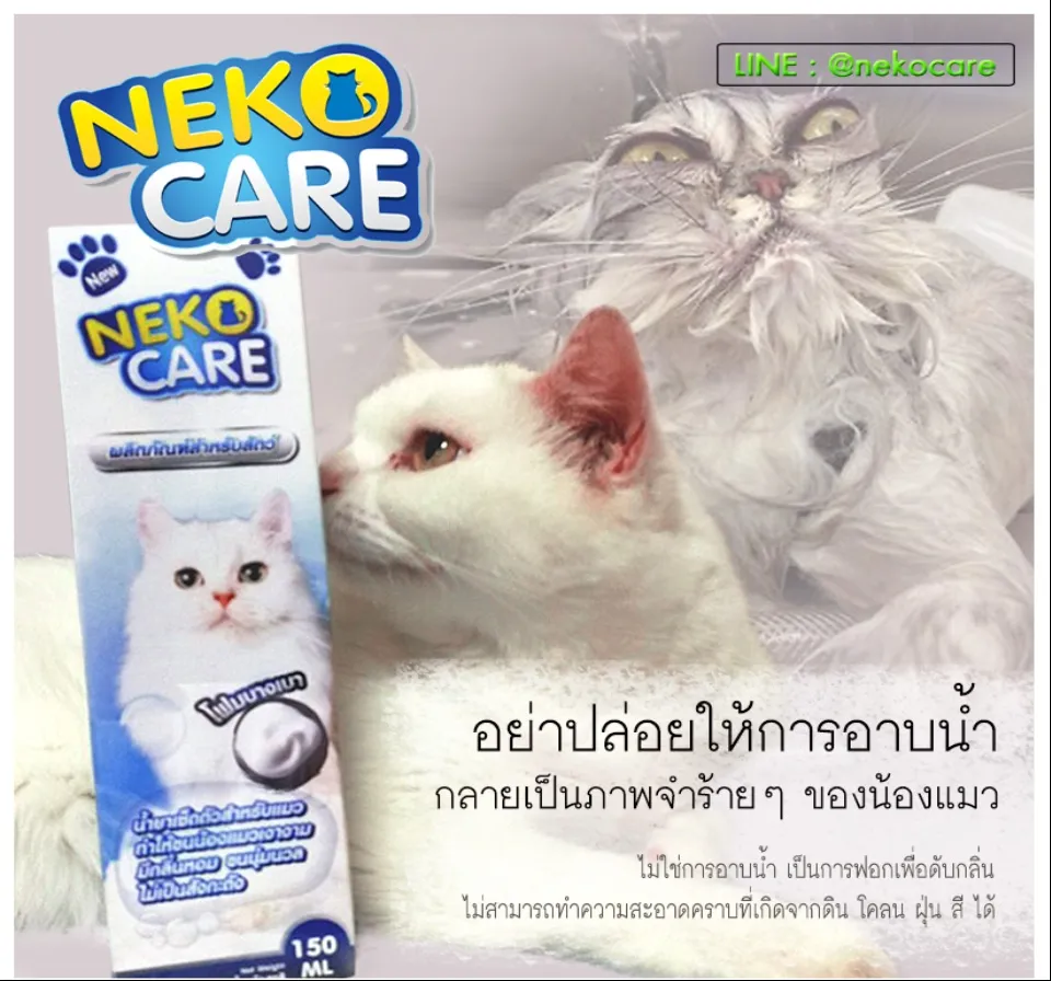 ภาพรวม นวัตกรรมแชมพูอาบแห้งสูตรเฉพาะสำหรับแมว Neko Care ดูแลสุขอนามัยโดยไม่ต้องใช้น้ำ