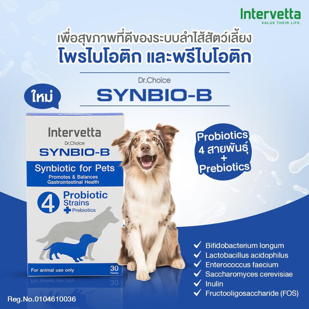 ความปลอดภัยตามทะเบียนควบคุมเฉพาะ การรับประทานที่สะดวกสบาย และความคุ้มค่าต่อสุขภาพระยะยาว