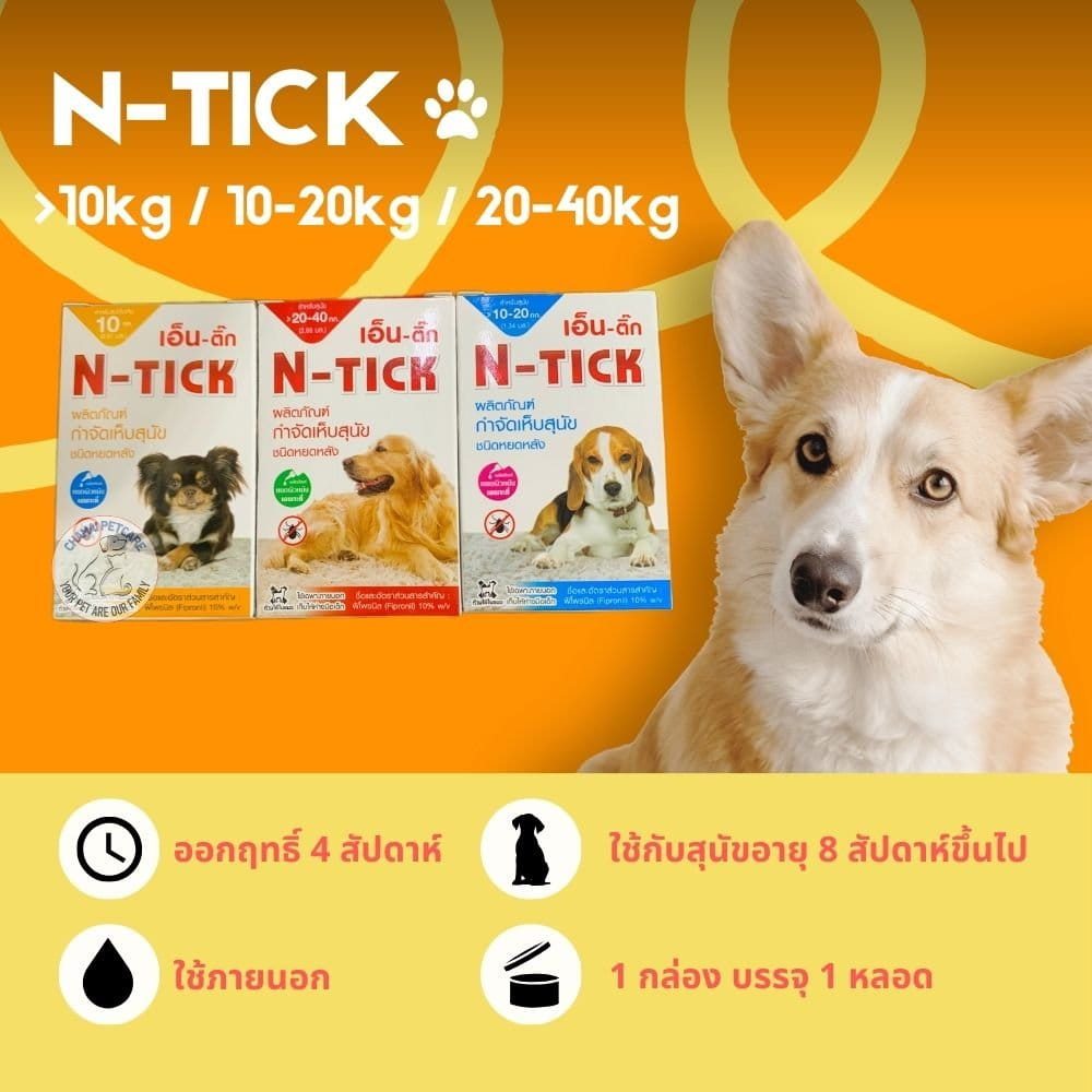 ภาพรวม นวัตกรรมยาหยดกำจัดเห็บหมัดสำหรับสุนัข N-Tick Spot On ปกป้องสุนัขตัวโปรดด้วยมาตรฐาน อย. ถูกต้อง