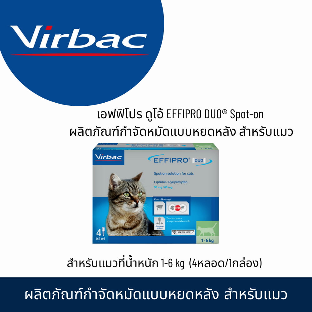 นวัตกรรมหลอดหยด Drop-Lock Technology ความปลอดภัย และความคุ้มค่าระดับไฮเอนด์