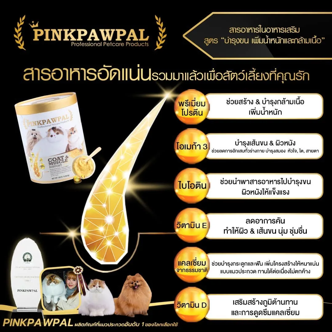 ภาพรวม นวัตกรรมอาหารเสริมโปรตีนเกรดพรีเมียม Pinkpawpal สูตรตัวแน่น บำรุงกล้ามเนื้อและเส้นขน