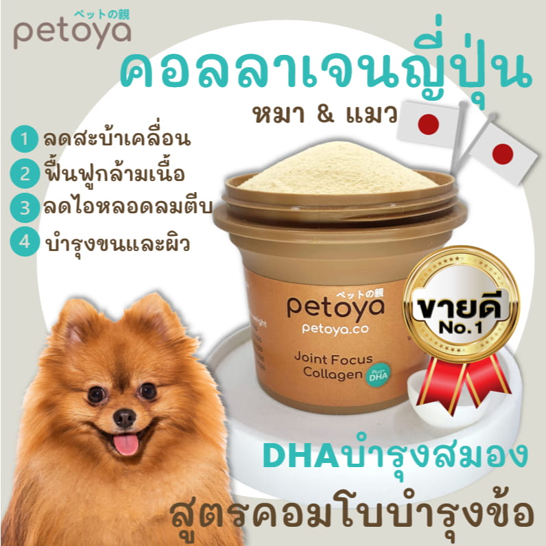 การบำรุงลึกถึงรากขน คืนความเงางาม และความสะดวกสบายในการผสมอาหารประจำวัน