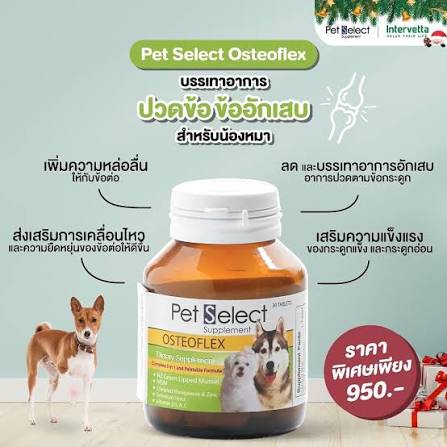 ภาพรวม นวัตกรรมอาหารเสริมบำรุงข้อต่อ Pet Select Osteoflex มาตรฐานสัตวแพทย์เพื่อการเคลื่อนไหวที่อิสระ
