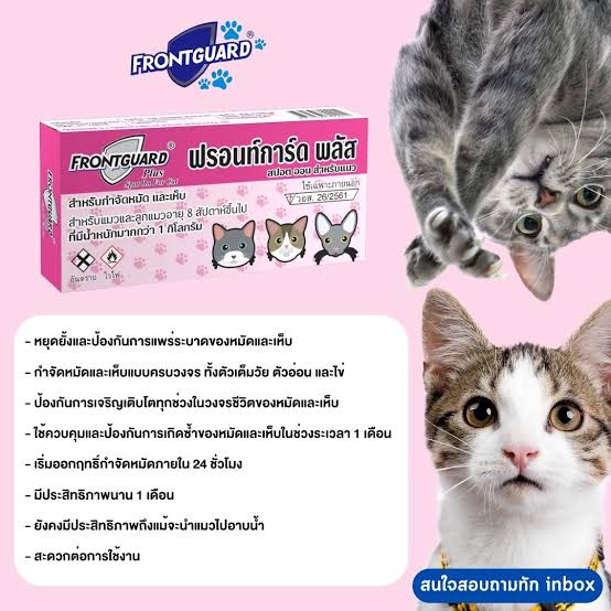ภาพรวม นวัตกรรมยาหยดกำจัดหมัดสูตรตัดวงจร Frontguard Plus for Cats ปกป้องแมวที่คุณรักด้วยมาตรฐาน อย. ถูกต้อง