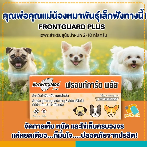 มาตรฐานทะเบียน อย. วอส. 600/2558 การแบ่งขนาดตามน้ำหนักตัว และความคุ้มค่าระดับสูงสุด