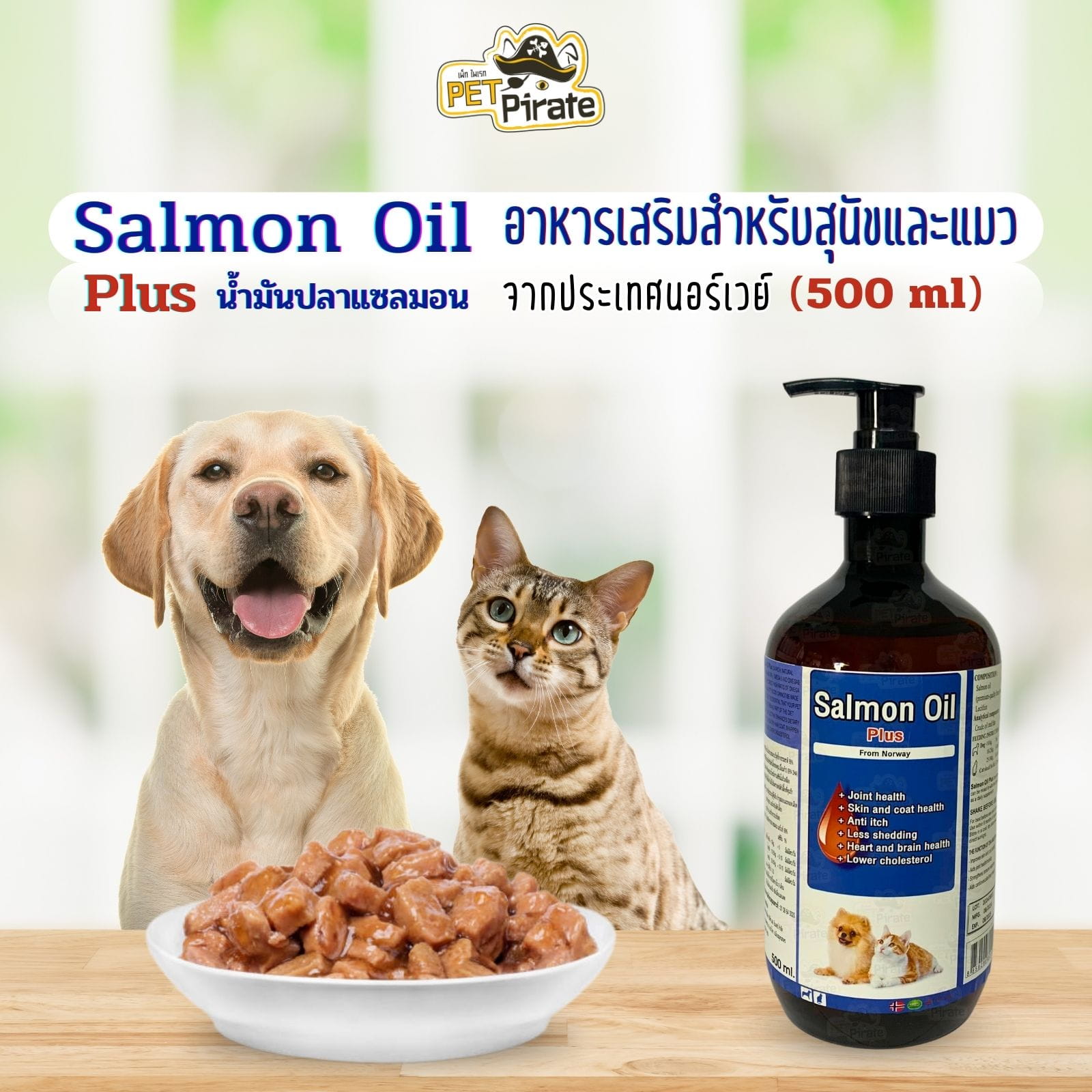 ภาพรวม นวัตกรรมน้ำมันปลาแซลมอนบริสุทธิ์ Salmon Oil Plus ฟื้นฟูผิวหนัง ขนสวยเงางาม และเสริมสุขภาพองค์รวม