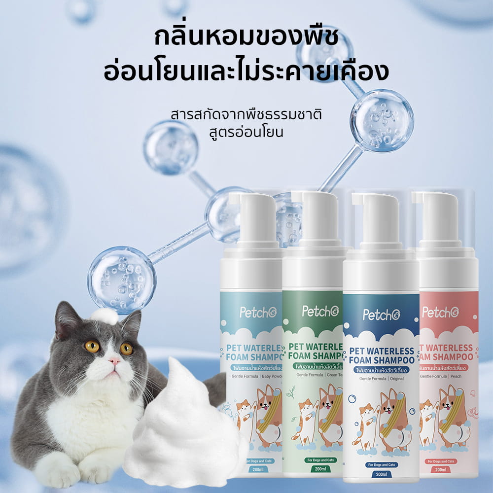 ภาพรวม นวัตกรรมความร่วมมือ PetStern x Petcho โฟมอาบแห้งสูตรอ่อนโยน ไม่ต้องใช้น้ำ เลียได้ปลอดภัย