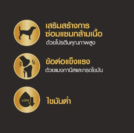 ภาพรวมและรีวิวสินค้า