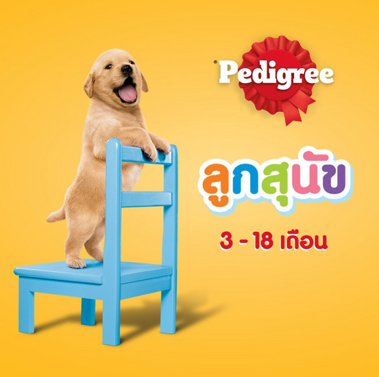 คำโปรยแนะนำสินค้า