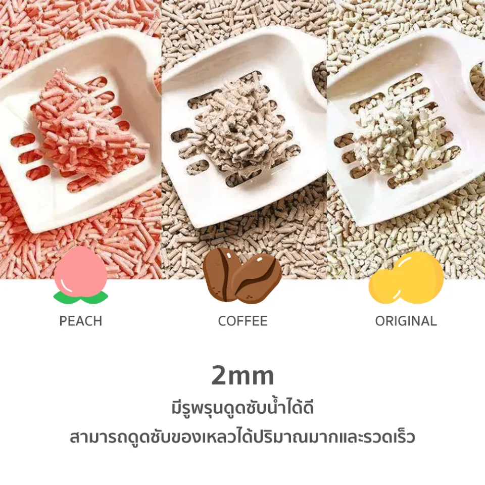 ภาพรวม นวัตกรรมทรายเต้าหู้ธรรมชาติ 100% จับก้อนไวใน 3 วินาที และไม่ติดก้นกระบะ