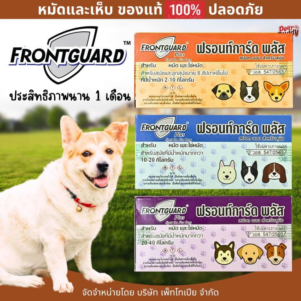 ภาพรวม นวัตกรรมยาหยดกำจัดเห็บหมัดสูตรตัดวงจร Frontguard Plus for Dogs ปกป้องสุนัขตัวโปรดด้วยมาตรฐาน อย. ถูกต้อง