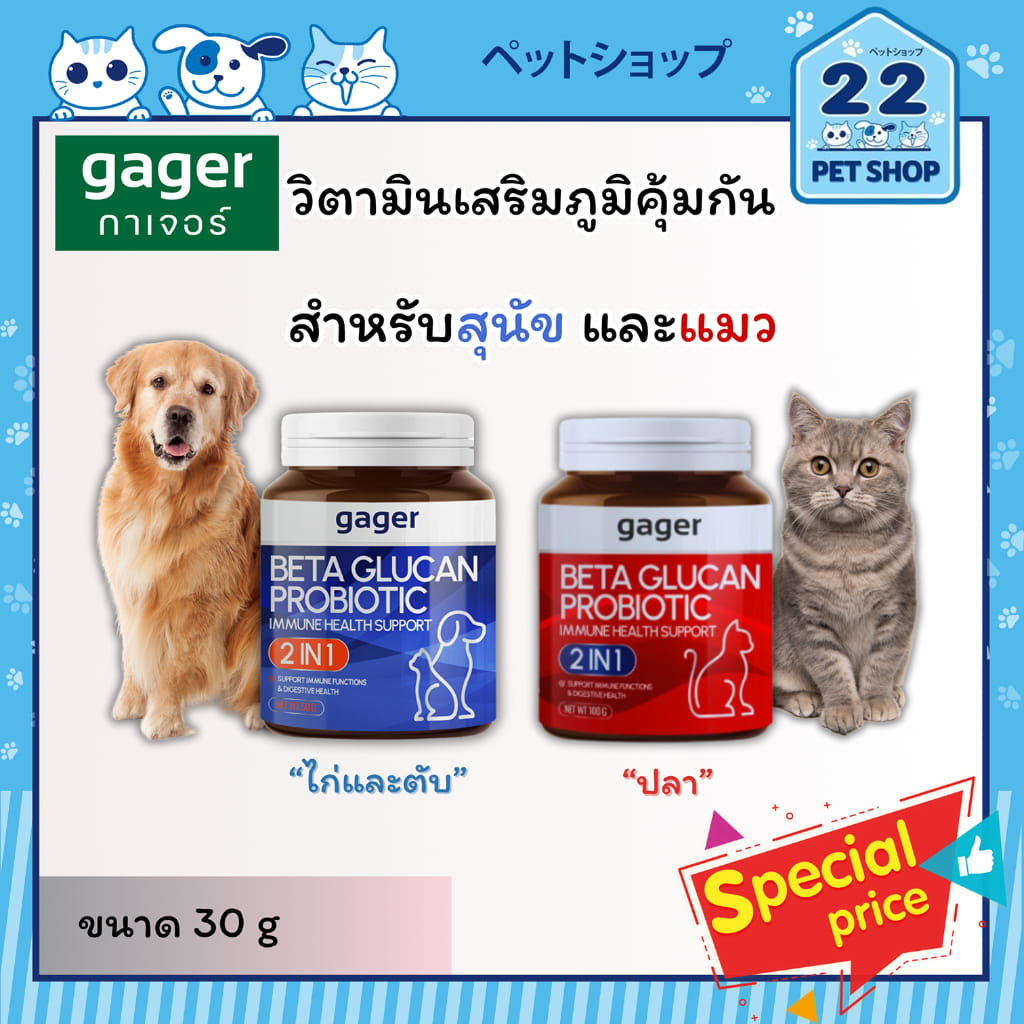 ภาพรวม นวัตกรรมอาหารเสริมวิตามินรวมสุนัขและแมว ดูแลสุขภาพองค์รวม เสริมสร้างภูมิคุ้มกัน และเติมเต็มโภชนาการ