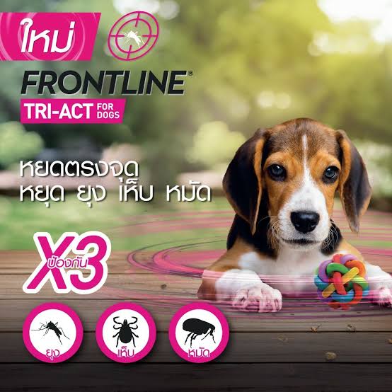 ภาพรวม นวัตกรรมยาหยดปกป้องขั้นสูง FRONTLINE TRI-ACT Size L พลังป้องกันแบบ 3-in-1 เพื่อสุนัขพันธุ์ใหญ่ 20–40 กก.