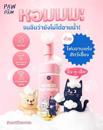 ภาพรวม นวัตกรรมโฟมอาบแห้ง PAWxPAW ดูแลสุขอนามัยสัตว์เลี้ยงแบบไม่ต้องใช้น้ำ สูตรอ่อนโยนเลียได้ปลอดภัย