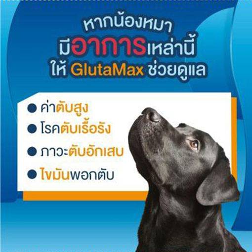 ภาพรวม นวัตกรรมอาหารเสริมฟื้นฟูเซลล์ตับ Candioli GlutaMax Forte เทคโนโลยี Siliphos® นำเข้าจากอิตาลี