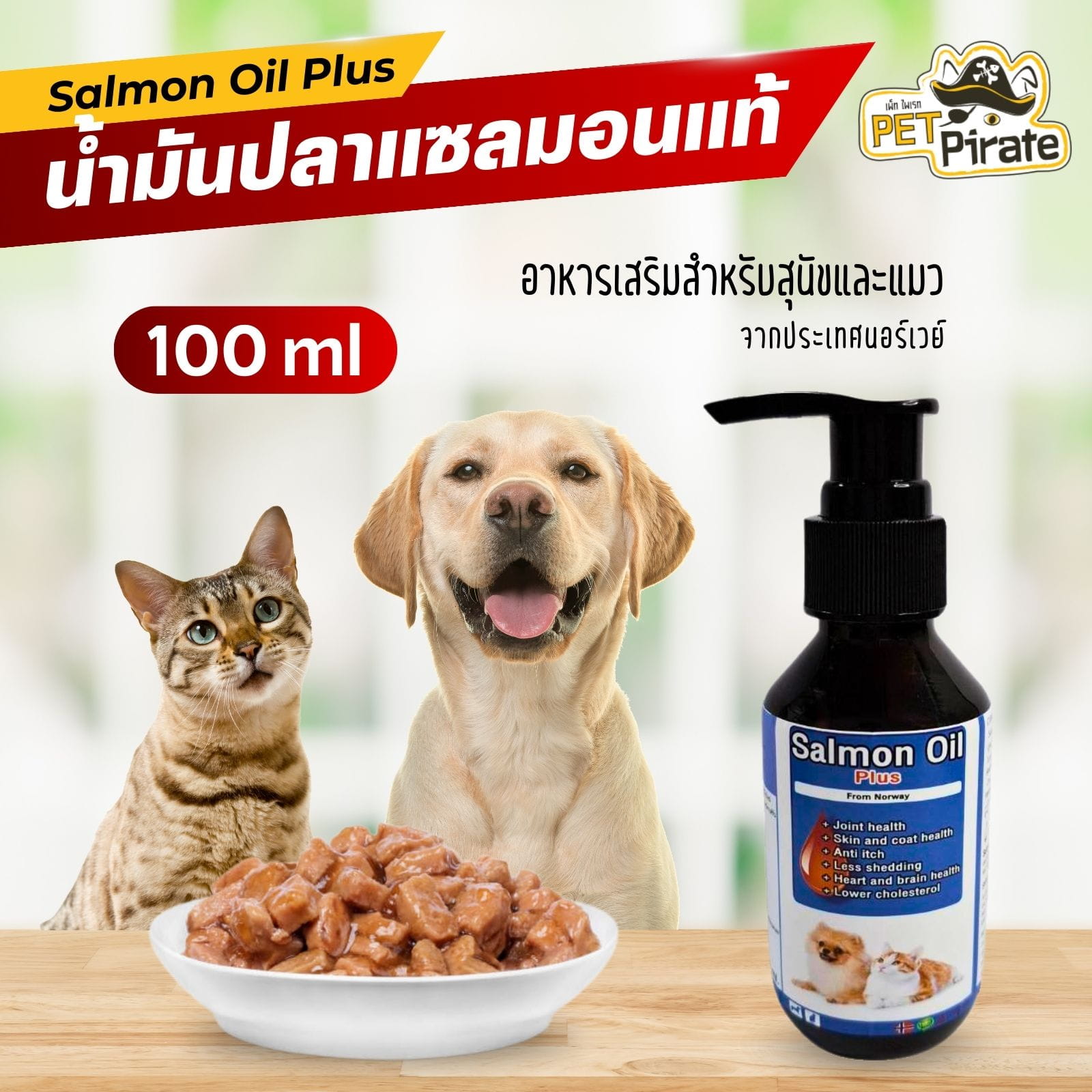 การกระตุ้นความอยากอาหาร ความสะดวกสบายด้วยขวดหัวปั๊ม และความคุ้มค่าในการใช้งานประจำวัน