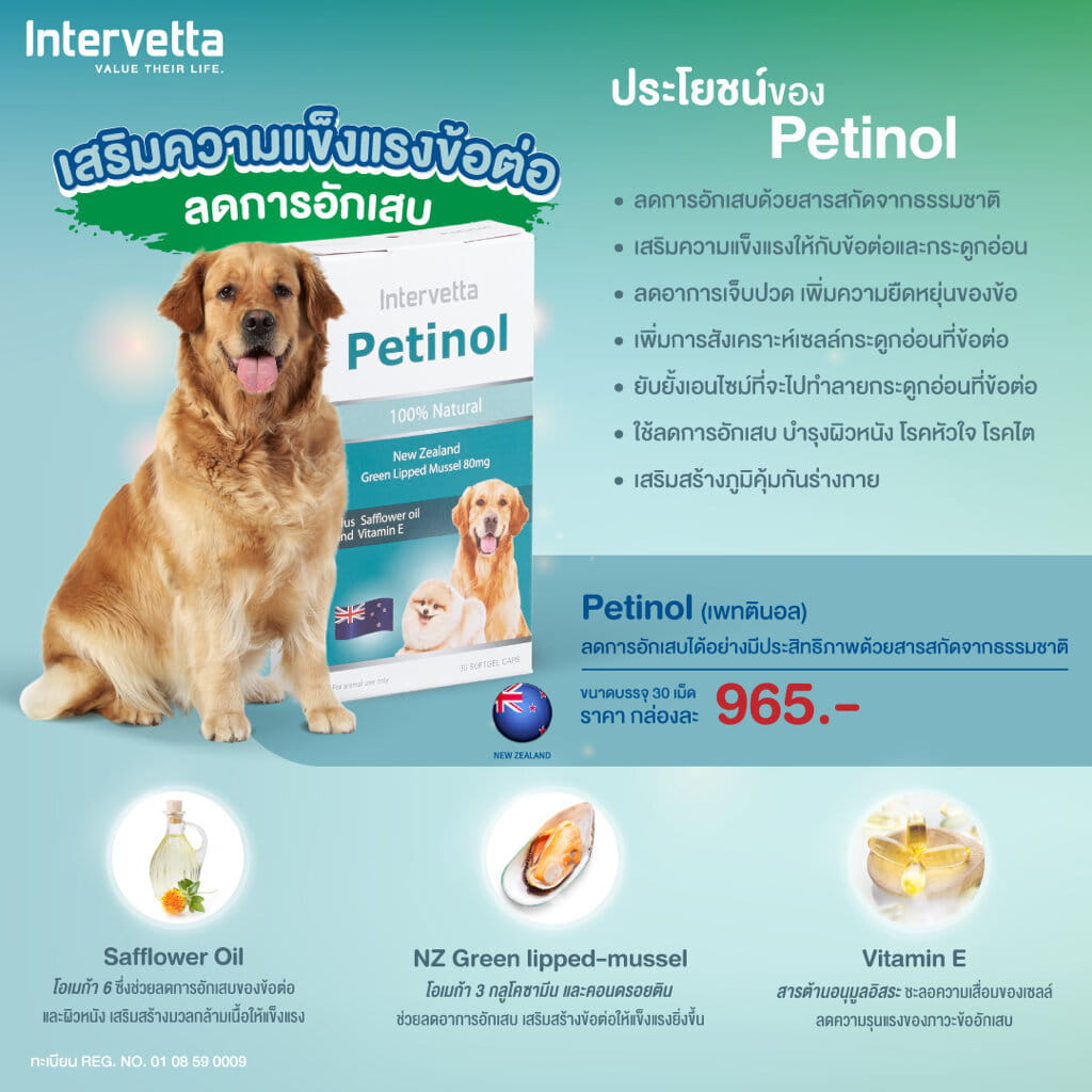 ภาพรวม นวัตกรรมน้ำมันหอยแมลงภู่นิวซีแลนด์ Petinol ฟื้นฟูข้อต่อและลดการอักเสบสุนัขและแมวอย่างมีประสิทธิภาพ
