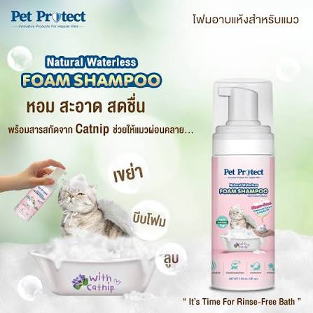 ภาพรวม นวัตกรรมโฟมอาบแห้งสารสกัดธรรมชาติ 100% จาก Pet Protect ปลอดภัยไร้แอลกอฮอล์และน้ำหอมสังเคราะห์