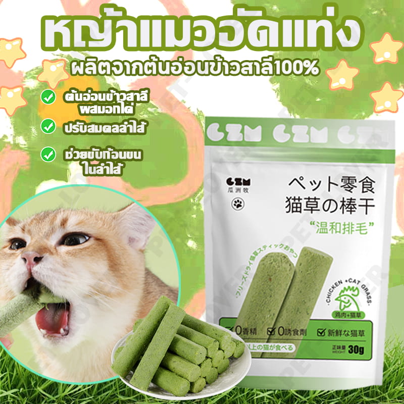 ภาพรวม นวัตกรรมหญ้าแมวฟรีซดราย Hipetime ตัวช่วยขับก้อนขนและดูแลทางเดินอาหารแมวแนวทางธรรมชาติ