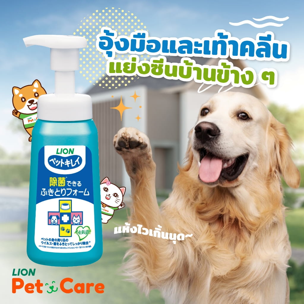 ประสิทธิภาพฟองโฟมมูสเนื้อละเอียด การบำรุงขนดุจมืออาชีพ และความสะดวกสบายในการใช้งาน