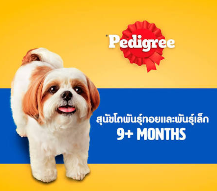 คำโปรยแนะนำสินค้า
