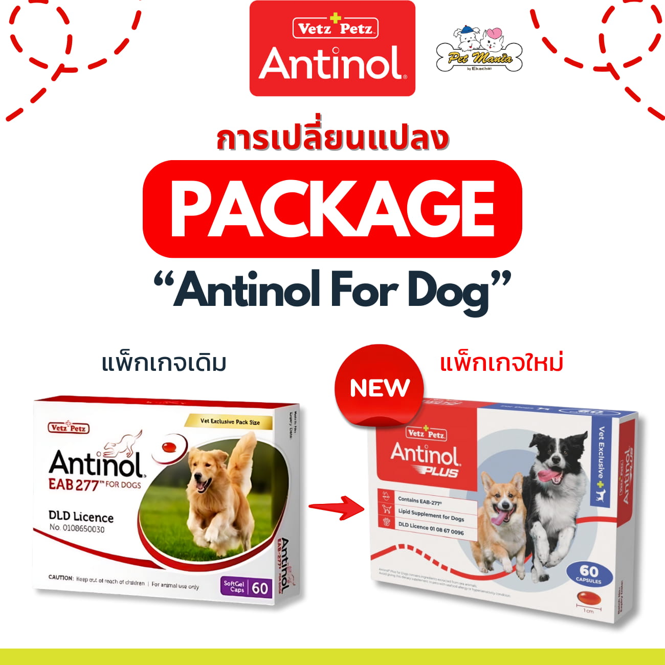 ภาพรวม นวัตกรรมสารสกัดลิพิด PCSO-524 และ EAB-277 จาก Antinol มาตรฐานทองคำแห่งการดูแลข้อต่อสัตว์เลี้ยง