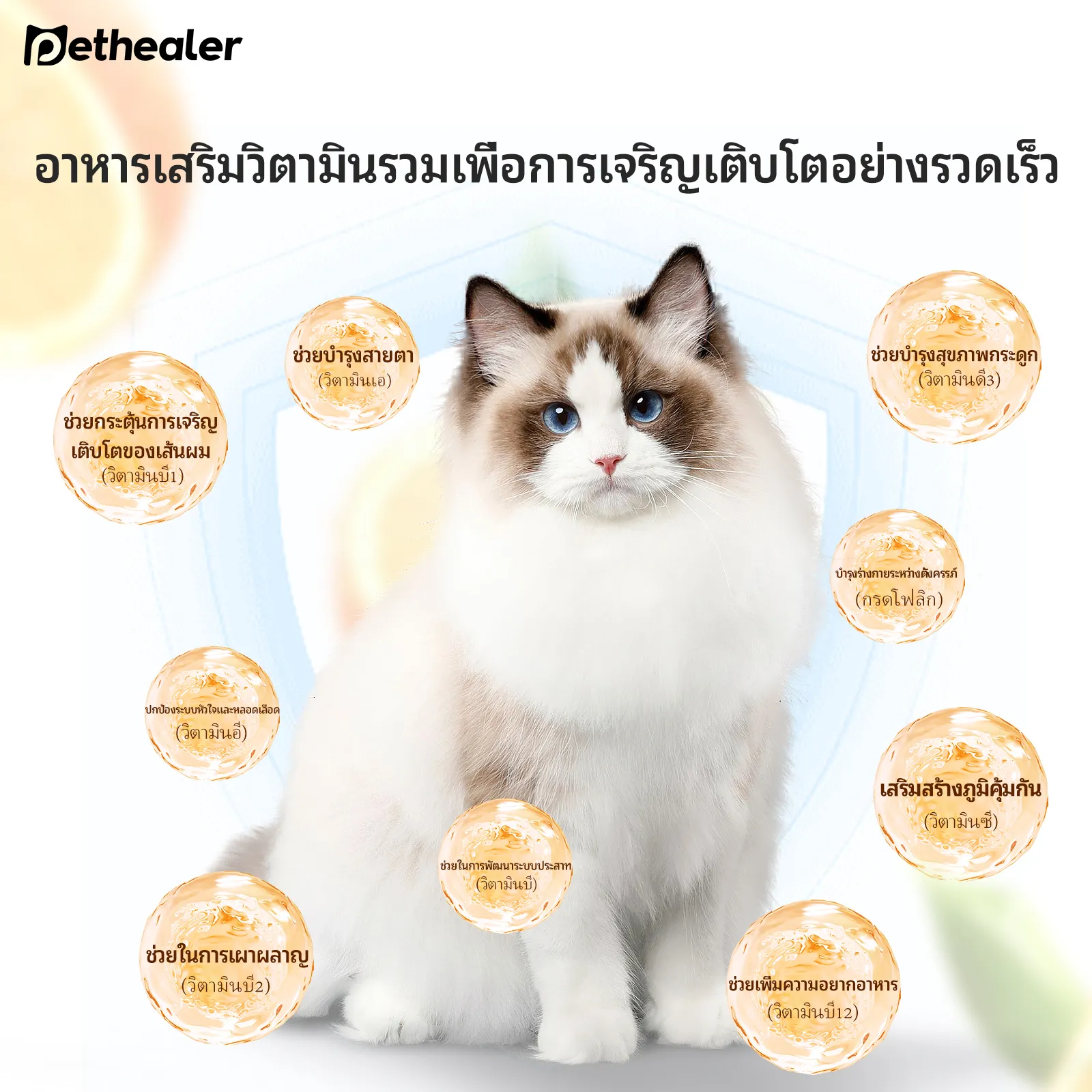 ภาพรวม นวัตกรรมขนมเสริมอาหารเม็ดเคี้ยวสำหรับแมว PETHEALER ตัวช่วยดูแลก้อนขนและระบบทางเดินอาหารในทุกวัน