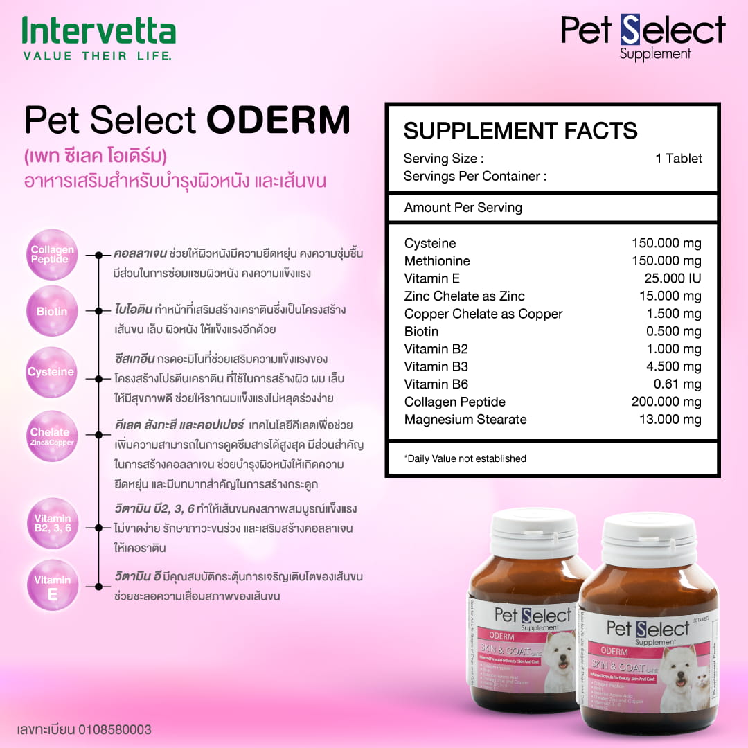 ภาพรวม นวัตกรรมอาหารเสริมบำรุงผิวหนังและเส้นขน Pet Select ODERM มาตรฐานสัตวแพทย์ ฟื้นฟูล้ำลึกระดับเซลล์