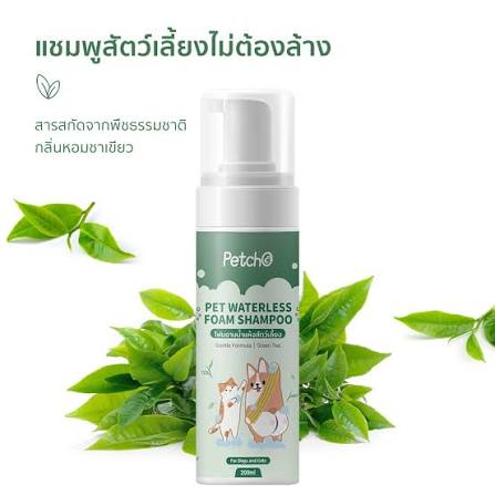 PetStern x Petcho Waterless Pet Cleansing Foam (เพ็ทสเติร์น x เพ็ทโชะ โฟมอาบน้ำแห้งสัตว์เลี้ยง สูตรอ่อนโยน)