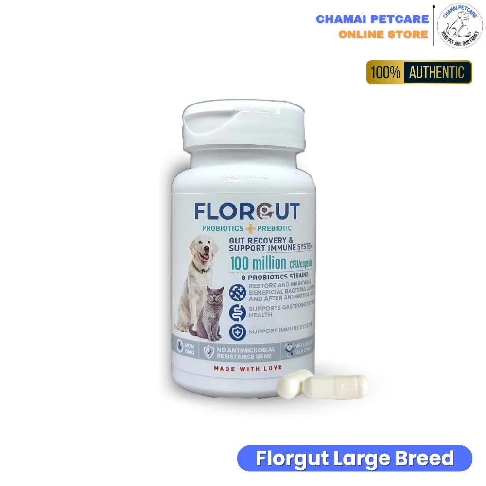 FLORGUT Synbiotics Probiotics & Prebiotics for Dogs and Cats (ฟลอกัท อาหารเสริมซินไบโอติกส์ ปรับสมดุลระบบทางเดินอาหารสำหรับสุนัขและแมว)
