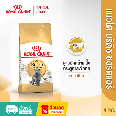 Royal Canin British Shorthair Adult 4kg อาหารเม็ดสำหรับแมวโตพันธุ์บริติช ช็อตแฮร์